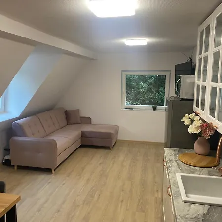 Mega Widok 2 Apartment *